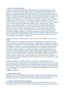 apparato respiratorio