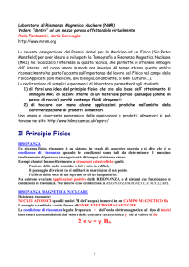Laboratorio di Risonanza Magnetica Nucleare: