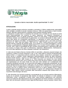progetto ipossia