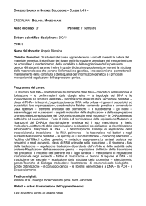 Disciplina: Biologia Molecolare - Dipartimento di Scienze Biologiche