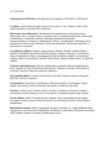 Programma di BIOMORFOLOGIA UMANA 1
