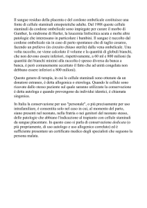Cellule Staminali ottenute dal sangue del cordone ombelicale