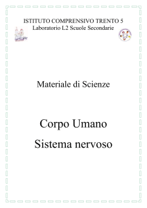 Il sistema nervoso - Istituto Trento 5