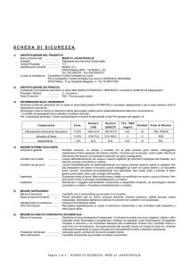 scheda di sicurezza