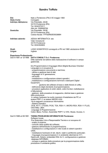 Clicca qui per scaricare il Curriculm Vitae del professionista (file )