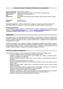 Figura professionale: Coordinatore di progetto
