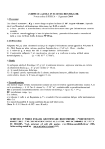 appello-13-01