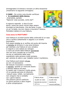 le fratture - Scuolalodivecchio