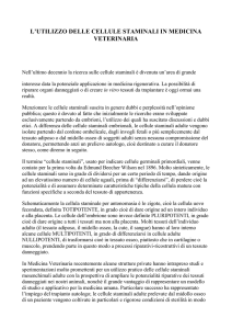 le cellule staminali