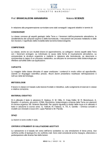 istituto di istruzione superiore