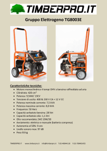 Per scaricare la scheda completa dell`attrezzo clikkare qui