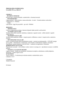 CLASSE 2° SPERIMENTALE LINGUISTICO