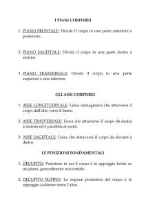 Lezioni S.Motorie-Assi, Piani, Movimenti e Posizioni