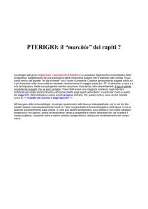 PTERIGIO: il “marchio” dei rapiti ? Lo pterigio (dal greco = piccola