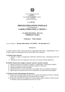 programma ipotizzato