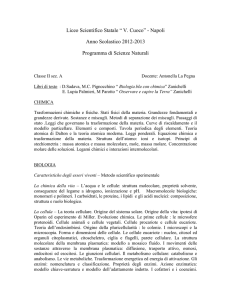 Classe II sez. A Docente: Antonella La Pegna