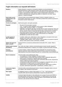 documento Word