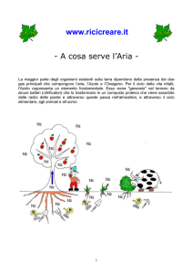 Da che cosa è formata l`aria