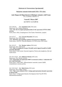 XXI ciclo - Dottorato in Neuroscienze