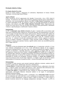 Peritonite Infettiva Felina