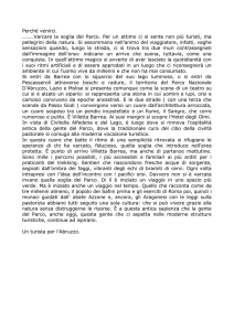 Perché venirci - Hotel degli Olmi