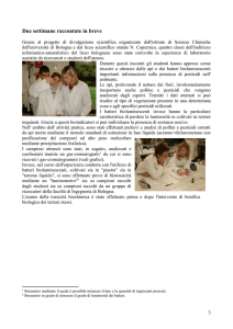 Due settimane raccontate in breve