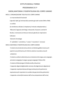 igiene,anatomia e fisiopatologia del corpo umano