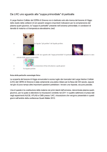 da lhc uno sguardo all`universo