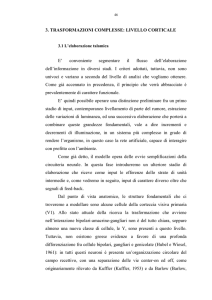3. trasformazioni complesse: livello corticale