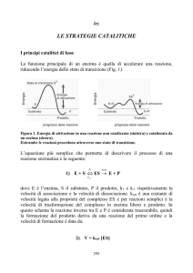 05-strategie.catalitiche