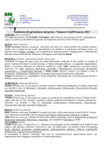 Nel periodo della fioritura, pertanto, si raccomanda