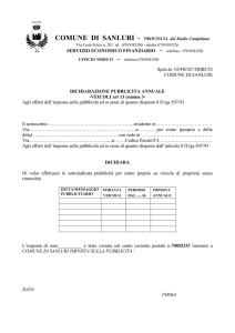 Dichiarazione Pubblicita` Annuale Veicoli