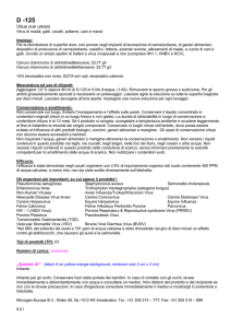 Virus non umani