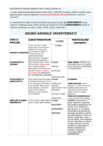 sistematica regno animale per la bellissima 1d