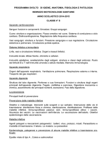 Igiene_anatomia_4S