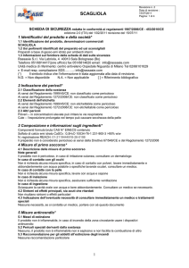 Scheda di Sicurezza