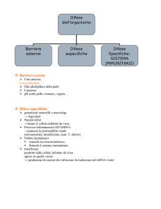 Il sistema immunitario - Digilander