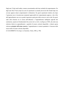 Dagli anni `50 gli studi Lashley vennero concentrandosi sulle basi