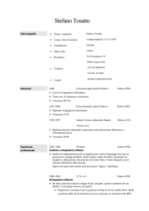 Curriculum - Digilander