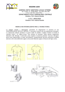 Consenso informato nefrectomia