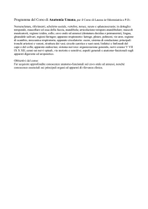 C.I. di Anatomia Umana