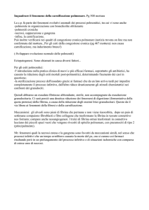Inquadrare il fenomeno della carnificazione polmonare. Pg 500