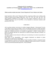 Lettera in stile professionale