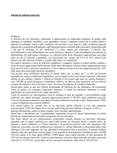 Relazione, lettara di motivazione Toul