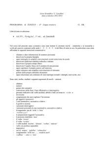 Liceo Scientifico