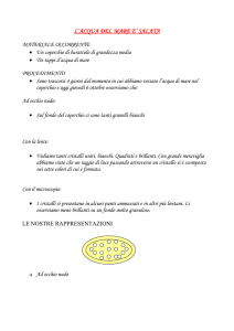 l`acqua del mare e` salata