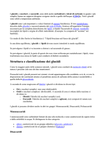 i carboidrati e l`ossidazione degli alcooli
