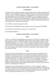 Esempio_per_tag