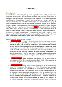 i tessuti - Classi3webios