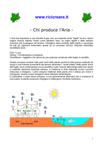Da che cosa è formata l`aria
